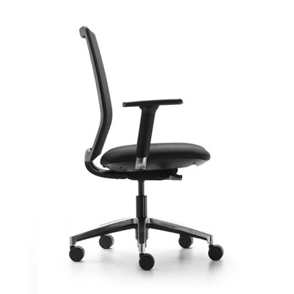 Chair SENTIS